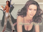 11shannon_elizabeth_111.jpg